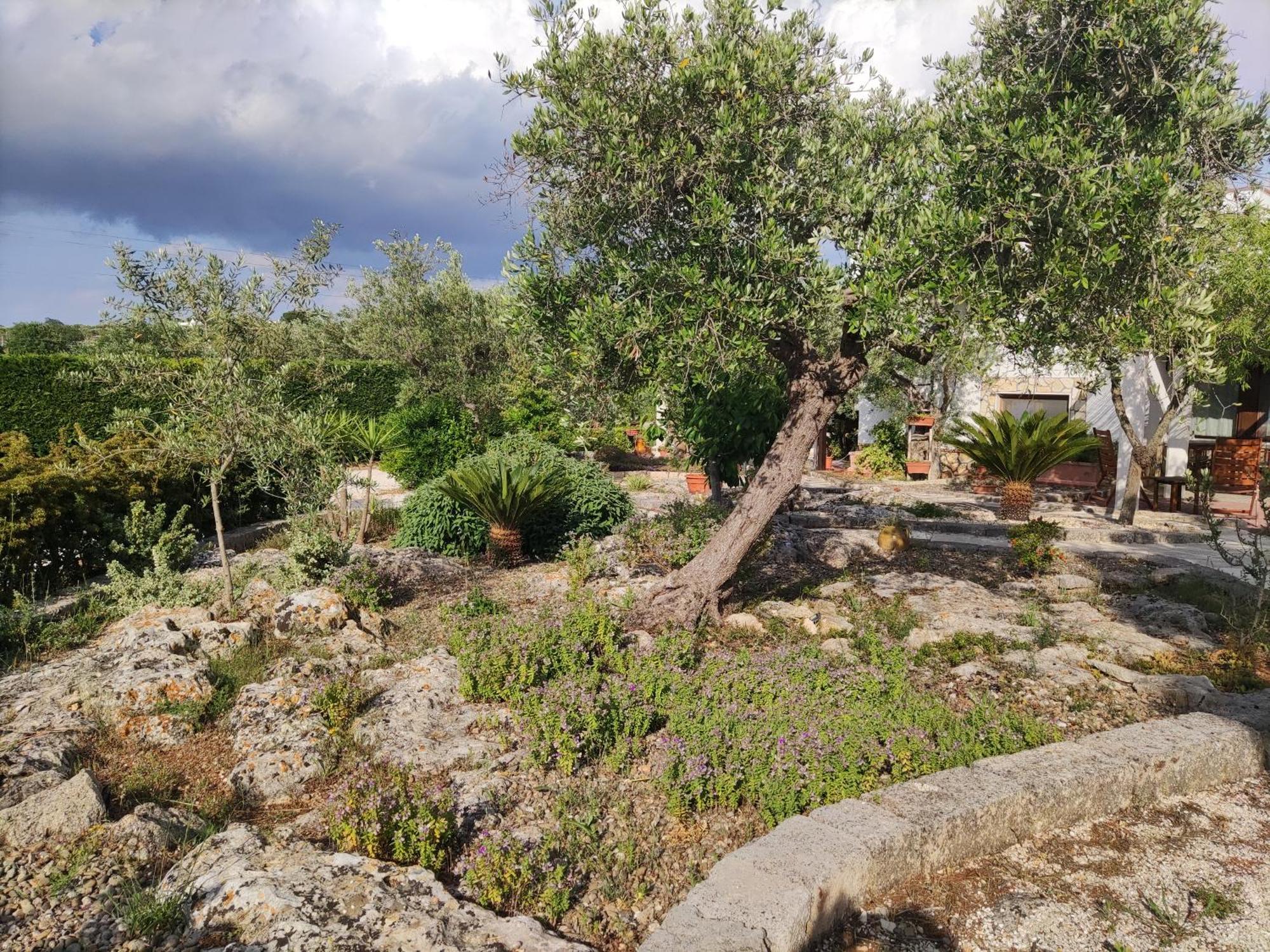 Villa Giulia B&B Кастеллана-Гротте Екстер'єр фото